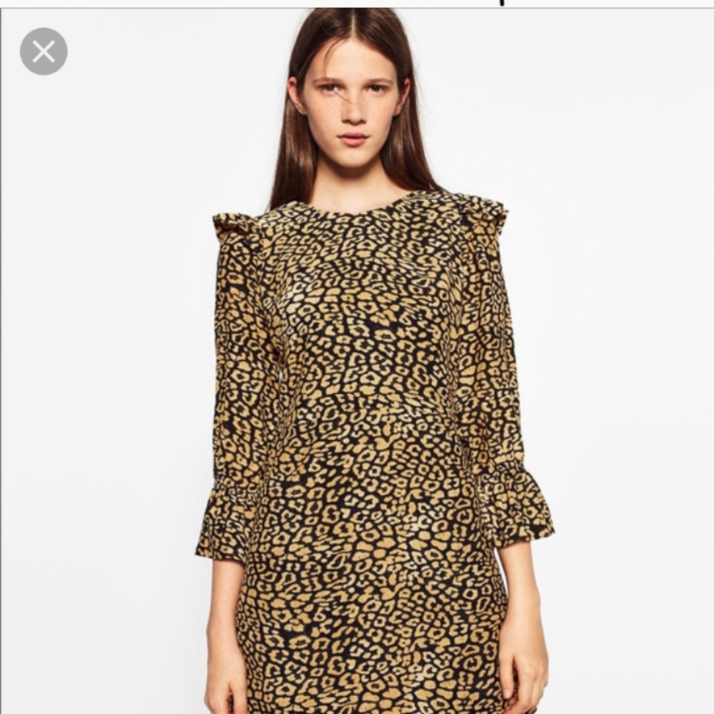 Leopard Print Zara Dress
